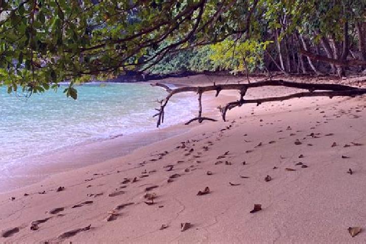 6 escort profiles in Monta Alegre, Sao Tome and Principe. Browse companions, services, rates and book online. Incall and outcall available.