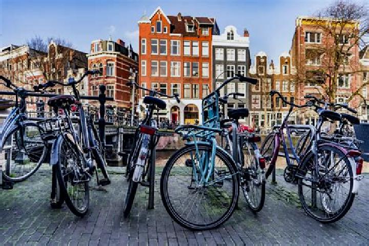 6 escort profiles in Neder-Hardinxveld, Netherlands. Browse companions, services, rates and book online. Incall and outcall available.