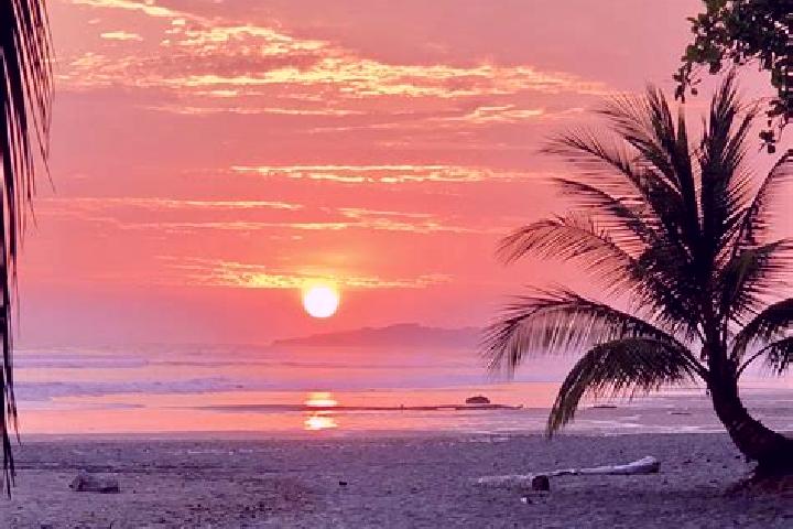 6 escort profiles in Parrita, Costa Rica. Browse companions, services, rates and book online. Incall and outcall available.