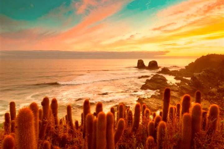 6 escort profiles in Pichilemu, Chile. Browse companions, services, rates and book online. Incall and outcall available.