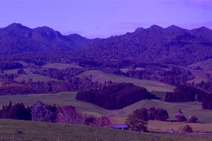 6 escort profiles in Pirongia, New Zealand. Browse companions, services, rates and book online. Incall and outcall available.