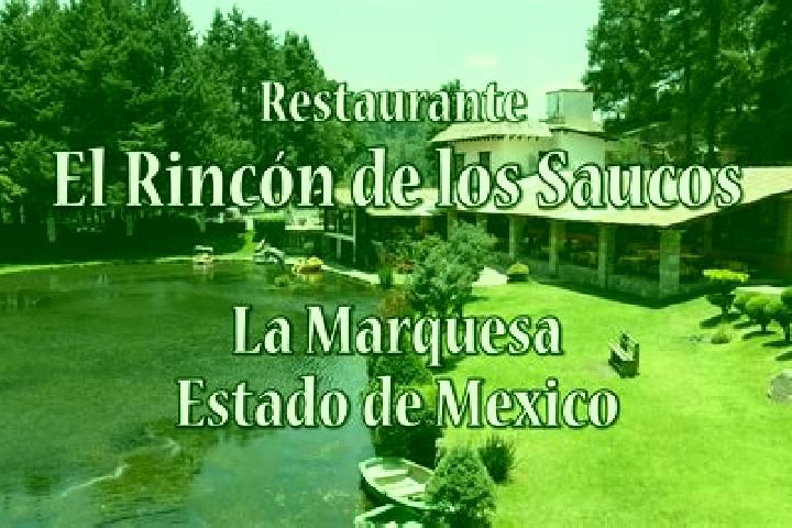 6 escort profiles in Rincon de los Pirules, Mexico. Browse companions, services, rates and book online. Incall and outcall available.
