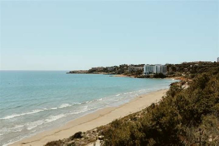 6 escort profiles in Riudoms, Spain. Browse companions, services, rates and book online. Incall and outcall available.