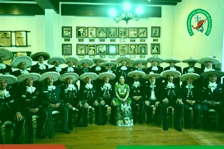 6 escort profiles in San Cirilo, Mexico. Browse companions, services, rates and book online. Incall and outcall available.