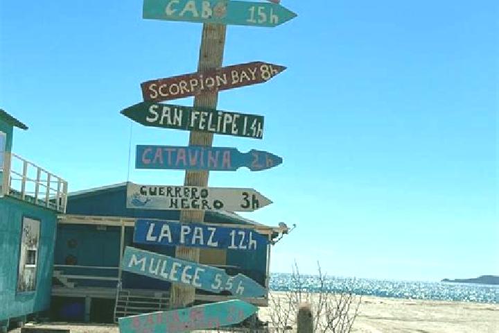 6 escort profiles in San Luis Gonzaga, Mexico. Browse companions, services, rates and book online. Incall and outcall available.