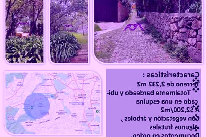 6 escort profiles in San Miguel Tlaixpan, Mexico. Browse companions, services, rates and book online. Incall and outcall available.