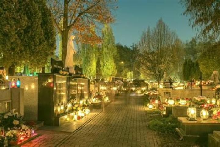 6 escort profiles in Tarnow, Poland. Browse companions, services, rates and book online. Incall and outcall available.