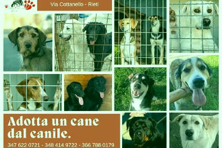 6 escort profiles in Vejano, Italy. Browse companions, services, rates and book online. Incall and outcall available.