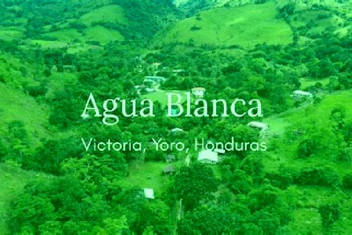 7 escort profiles in Agua Blanca Sur, Honduras. Browse companions, services, rates and book online. Incall and outcall available.