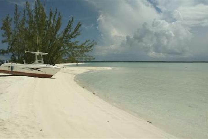 7 escort profiles in Andros Town, Bahamas. Browse companions, services, rates and book online. Incall and outcall available.