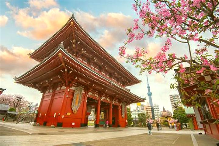 7 escort profiles in Asakusa, Japan. Browse companions, services, rates and book online. Incall and outcall available.