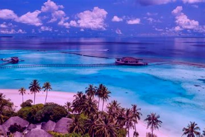 7 escort profiles in Buruni, Maldives. Browse companions, services, rates and book online. Incall and outcall available.