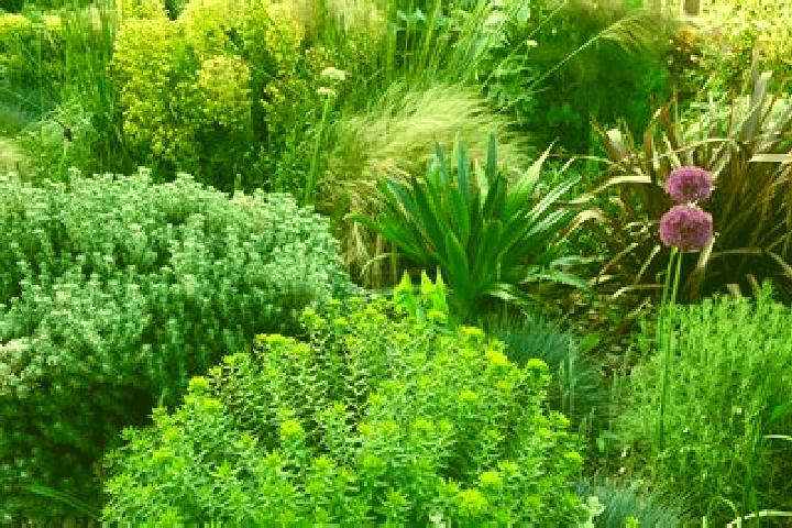 7 escort profiles in Colonel Light Gardens, Australia. Browse companions, services, rates and book online. Incall and outcall available.