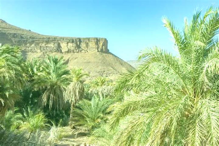 7 escort profiles in Dar el Barka, Mauritania. Browse companions, services, rates and book online. Incall and outcall available.