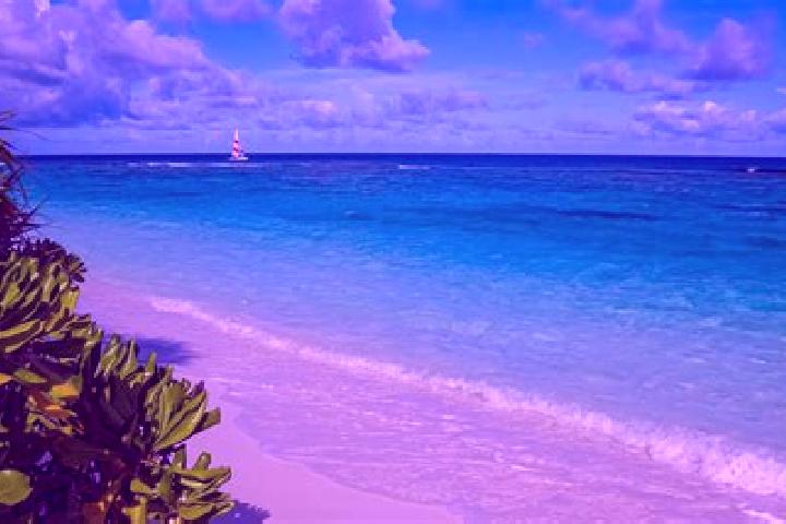 7 escort profiles in East End, Cayman Islands. Browse companions, services, rates and book online. Incall and outcall available.