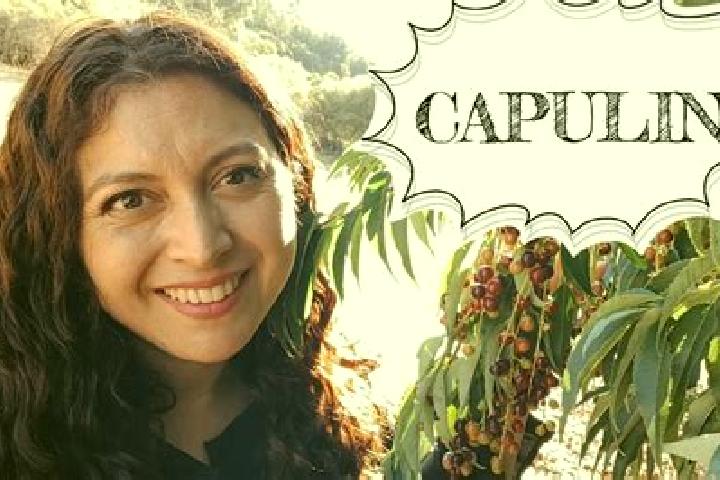 7 escort profiles in El Capulin Chocolate, Mexico. Browse companions, services, rates and book online. Incall and outcall available.