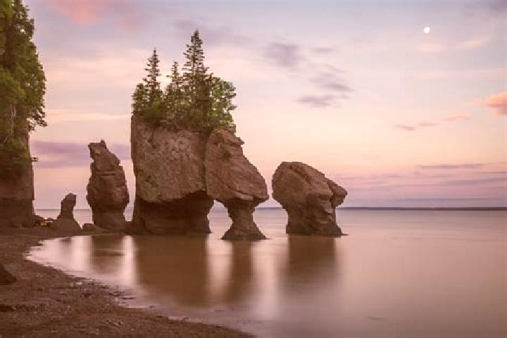 7 escort profiles in Hopewell Cape, Canada. Browse companions, services, rates and book online. Incall and outcall available.