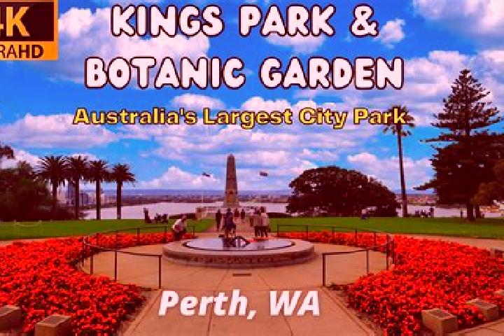 7 escort profiles in Kings Park, Australia. Browse companions, services, rates and book online. Incall and outcall available.