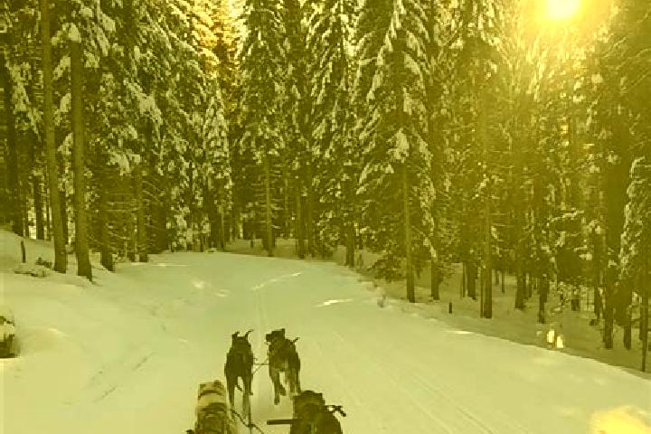 7 escort profiles in Klaffer am Hochficht, Austria. Browse companions, services, rates and book online. Incall and outcall available.