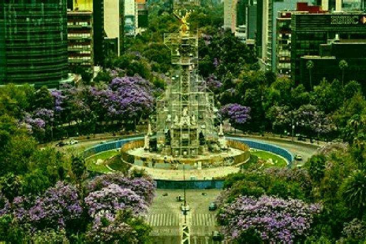 7 escort profiles in Las Jacarandas, Mexico. Browse companions, services, rates and book online. Incall and outcall available.