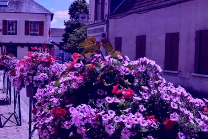 7 escort profiles in Les Essarts-le-Roi, France. Browse companions, services, rates and book online. Incall and outcall available.