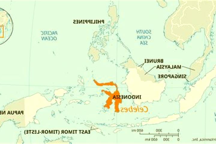 7 escort profiles in Limboto, Indonesia. Browse companions, services, rates and book online. Incall and outcall available.