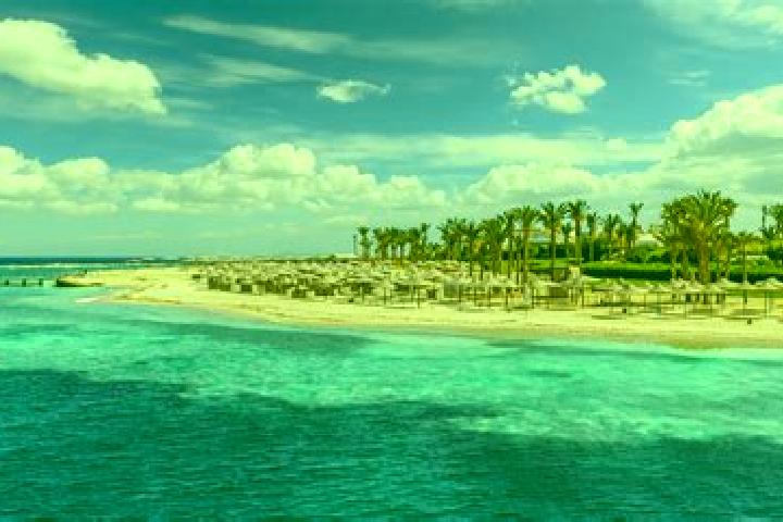 7 escort profiles in Marsa Alam, Egypt. Browse companions, services, rates and book online. Incall and outcall available.