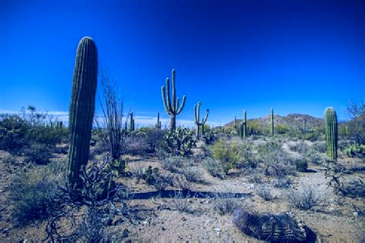 7 escort profiles in Mezquite Mata del Tigre, Mexico. Browse companions, services, rates and book online. Incall and outcall available.