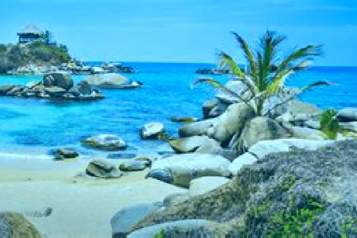 7 escort profiles in Necocli, Colombia. Browse companions, services, rates and book online. Incall and outcall available.