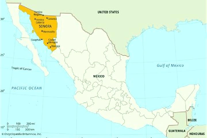 7 escort profiles in Noria del Borrego (Norias), Mexico. Browse companions, services, rates and book online. Incall and outcall available.