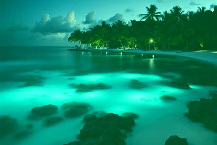 7 escort profiles in Old Man Bay, Cayman Islands. Browse companions, services, rates and book online. Incall and outcall available.