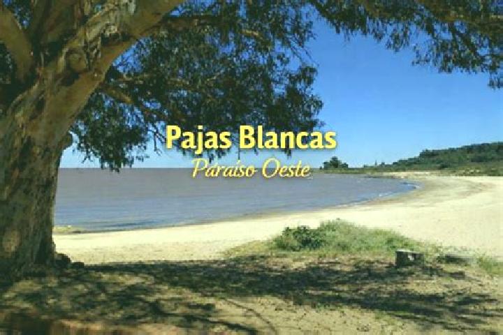 7 escort profiles in Pajas Blancas, Uruguay. Browse companions, services, rates and book online. Incall and outcall available.
