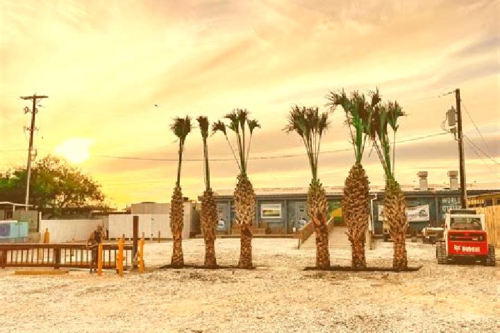 7 escort profiles in Port Aransas, United States. Browse companions, services, rates and book online. Incall and outcall available.