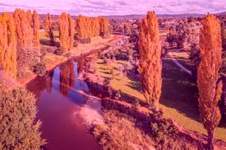 7 escort profiles in Queanbeyan, Australia. Browse companions, services, rates and book online. Incall and outcall available.