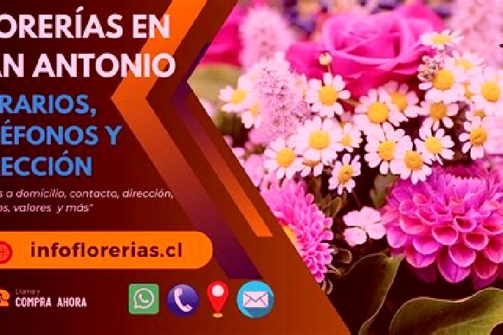 7 escort profiles in San Antonio Tlatenco, Mexico. Browse companions, services, rates and book online. Incall and outcall available.