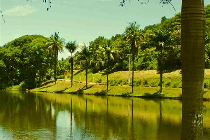 7 escort profiles in Sao Joao Evangelista, Brazil. Browse companions, services, rates and book online. Incall and outcall available.