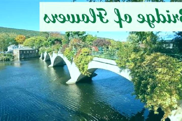 7 escort profiles in Shelburne Falls, United States. Browse companions, services, rates and book online. Incall and outcall available.