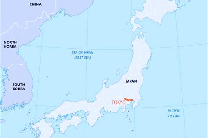 7 escort profiles in Tatsuno, Japan. Browse companions, services, rates and book online. Incall and outcall available.