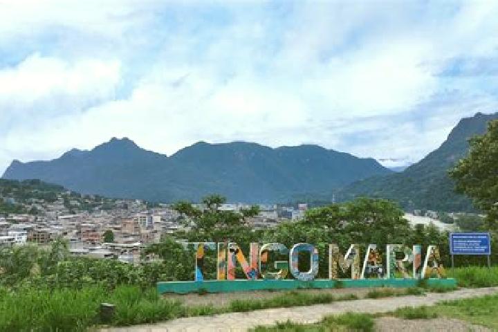 7 escort profiles in Tingo, Peru. Browse companions, services, rates and book online. Incall and outcall available.