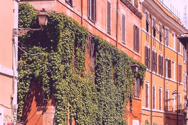 7 escort profiles in Trastevere, Italy. Browse companions, services, rates and book online. Incall and outcall available.