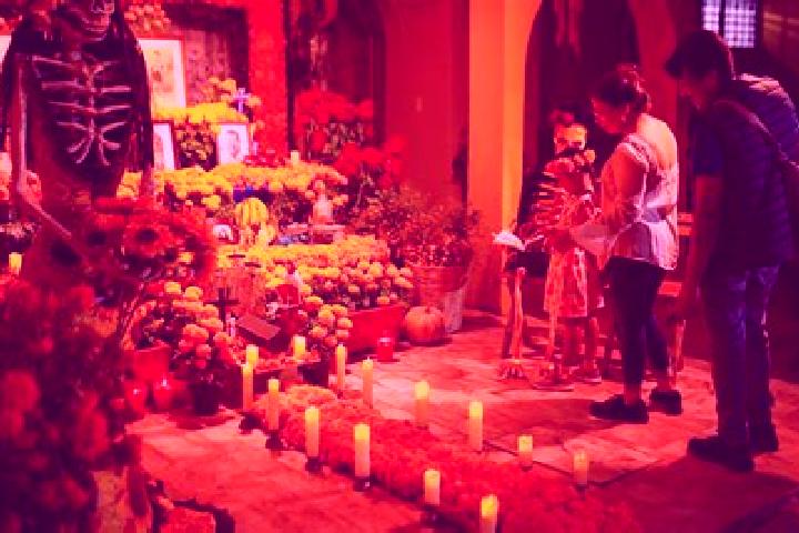 7 escort profiles in Tuxcacuesco, Mexico. Browse companions, services, rates and book online. Incall and outcall available.