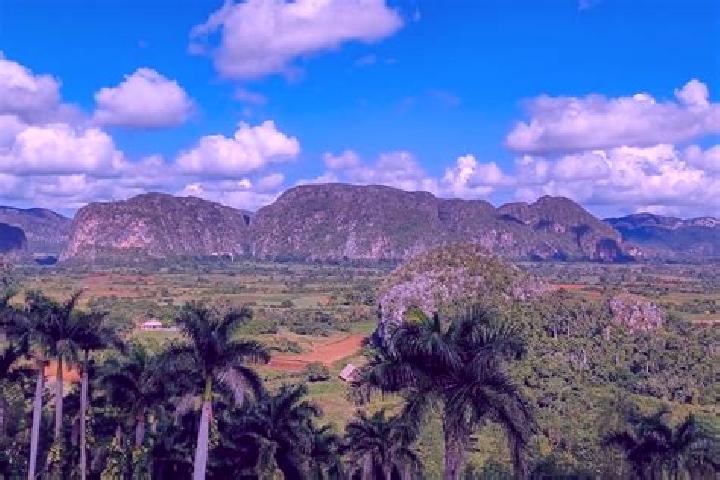 7 escort profiles in Vinales, Cuba. Browse companions, services, rates and book online. Incall and outcall available.
