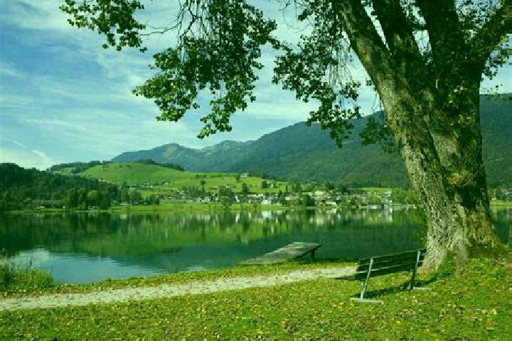 7 escort profiles in Vorderthiersee, Austria. Browse companions, services, rates and book online. Incall and outcall available.