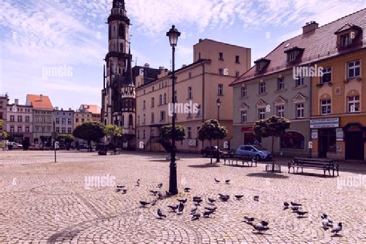 7 escort profiles in Zabkowice Slaskie, Poland. Browse companions, services, rates and book online. Incall and outcall available.