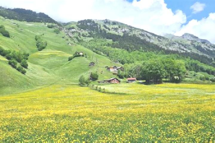 8 escort profiles in Amden, Switzerland. Browse companions, services, rates and book online. Incall and outcall available.