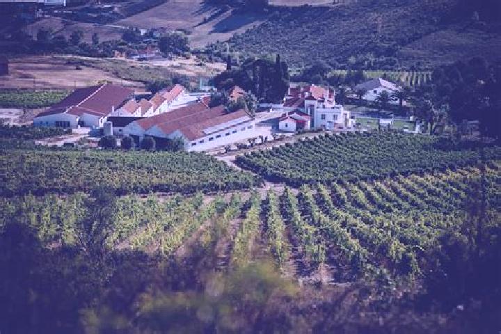 8 escort profiles in Arruda dos Vinhos, Portugal. Browse companions, services, rates and book online. Incall and outcall available.