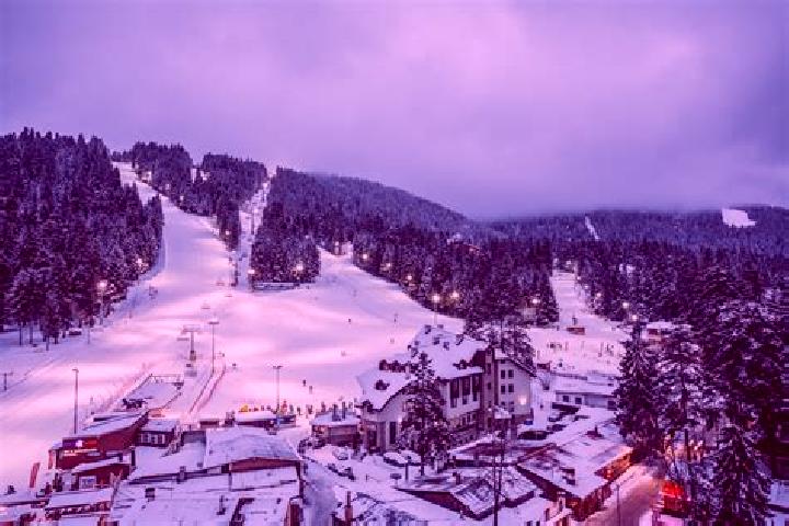 8 escort profiles in Borovets, Bulgaria. Browse companions, services, rates and book online. Incall and outcall available.