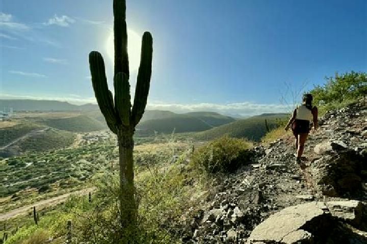 8 escort profiles in Cerro de la Esperanza, Mexico. Browse companions, services, rates and book online. Incall and outcall available.