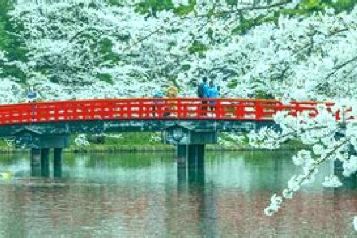8 escort profiles in Hiranai, Japan. Browse companions, services, rates and book online. Incall and outcall available.