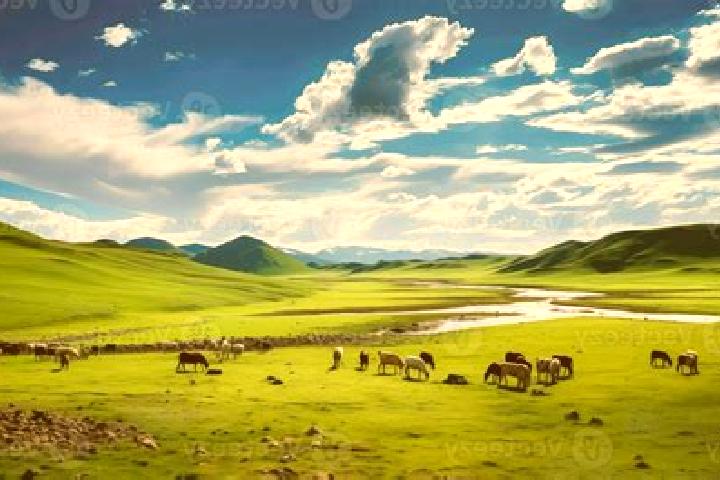 8 escort profiles in Khovd, Mongolia. Browse companions, services, rates and book online. Incall and outcall available.